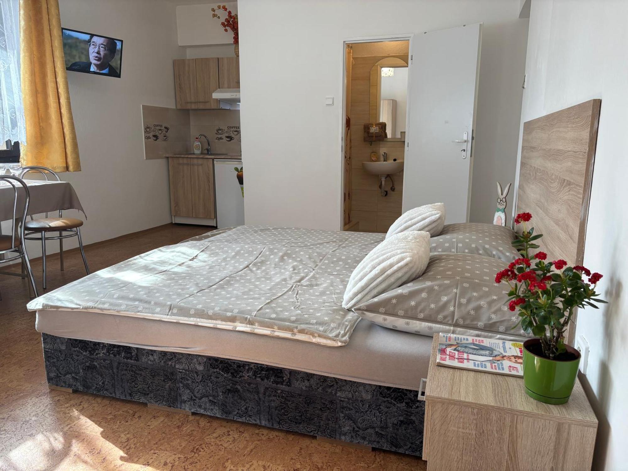 Apartmanovy Dom Grand