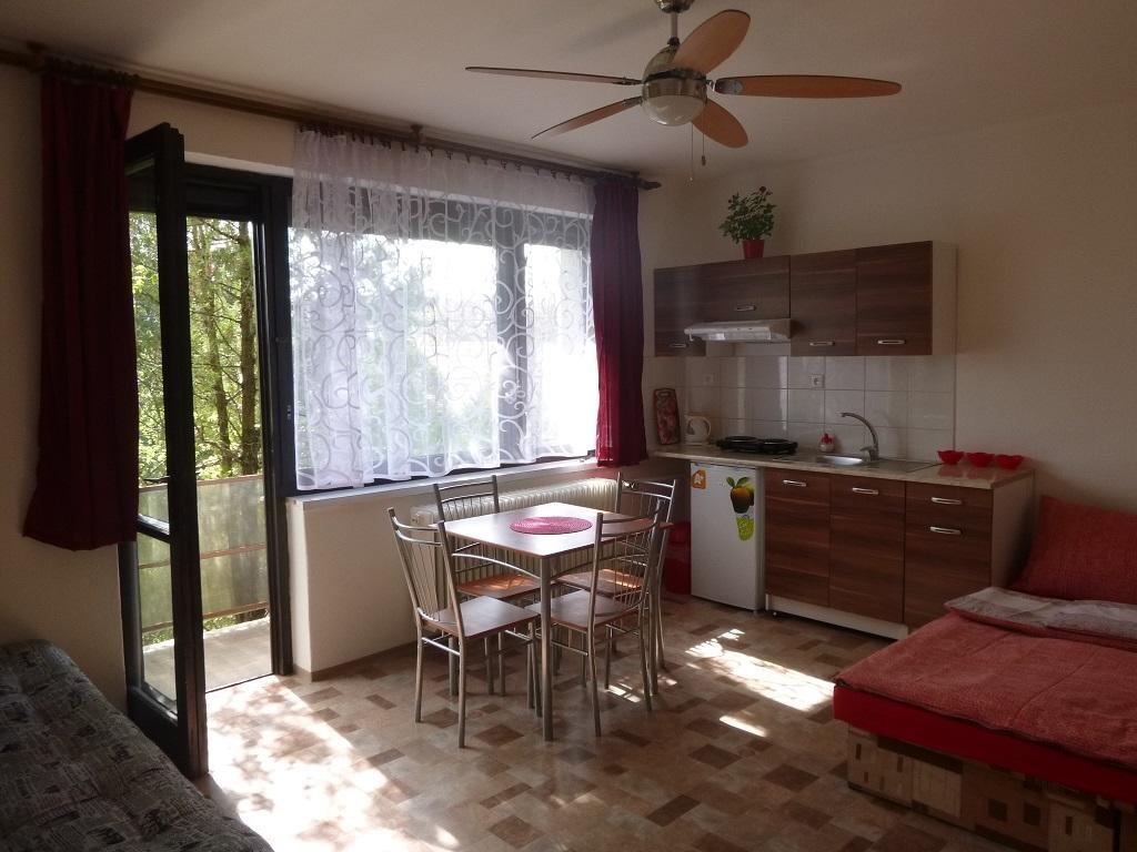 Apartmanovy Dom Grand Homestay szállás *